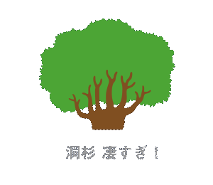 洞杉